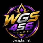 wgs456 game