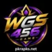 wgs456 game