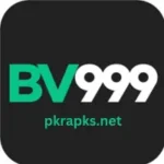 Bv999 game