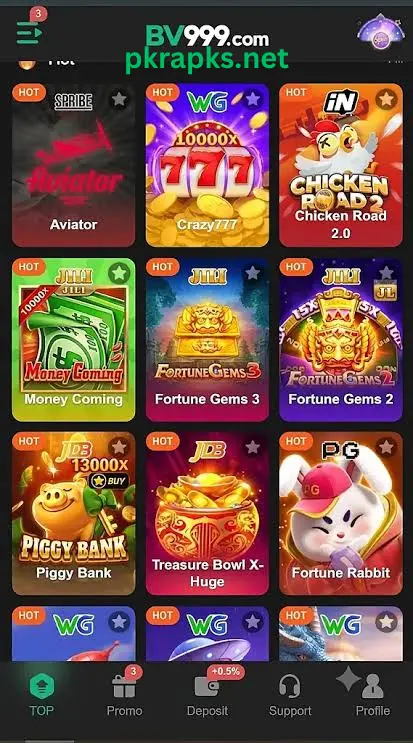 Bv999 game